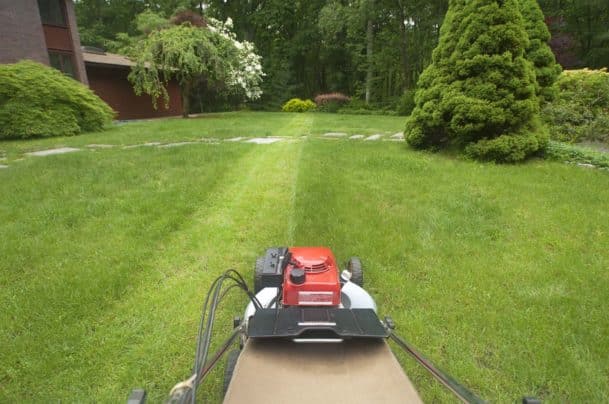 Grass Cutting - Big Easy Grass Cutting