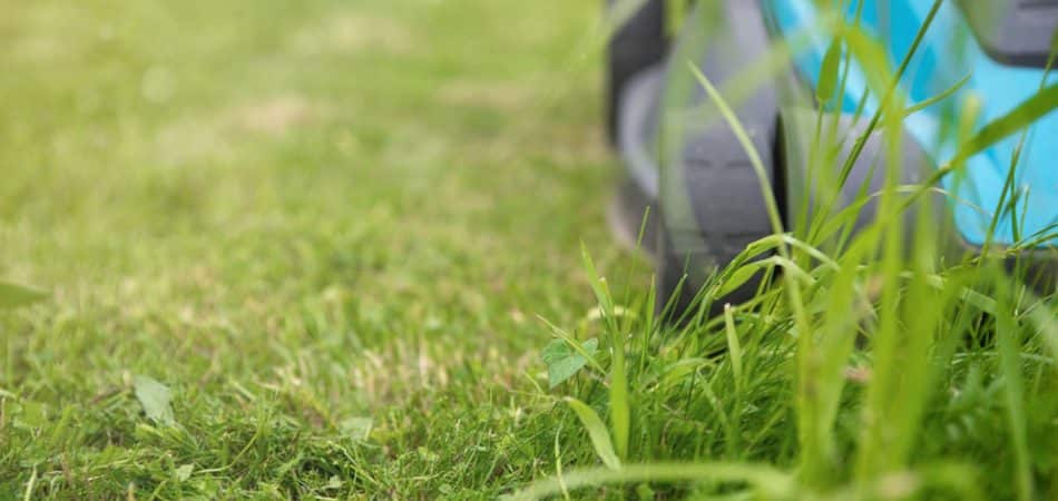Lawn mower in the garden, grass and lawn, sunlight, copy space
