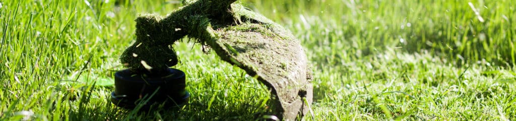 Commercial Lawn Maintenance