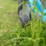 Grass Cutting - Big Easy Grass Cutting