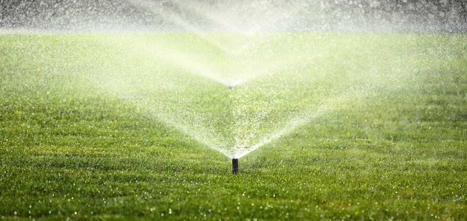 Irrigation System - Big Easy Grass Cutting