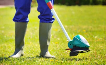 lawn services grass cutting