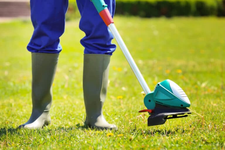 lawn services grass cutting