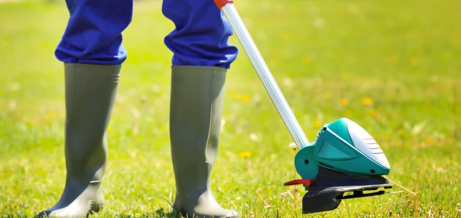 lawn services grass cutting