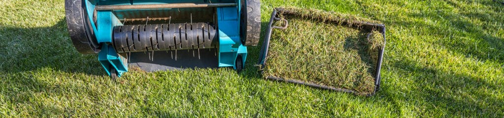 Lawn Aeration