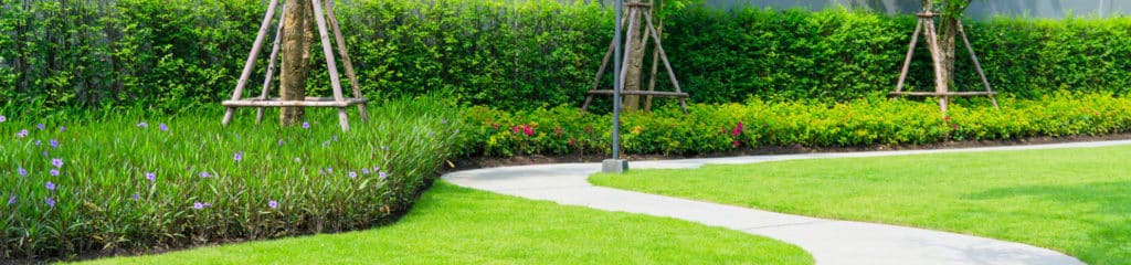 Lawn Edging
