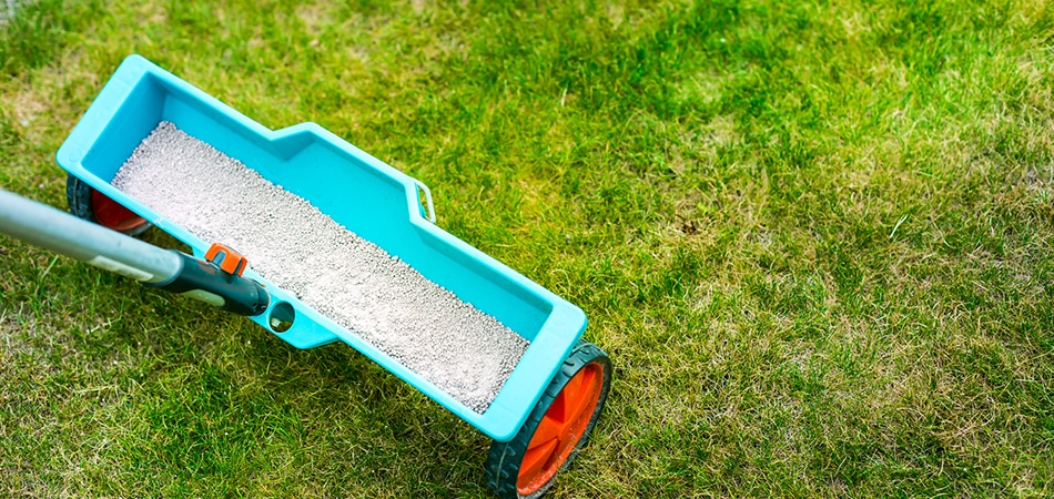 Lawn Fertilization - Big Easy Grass Cutting