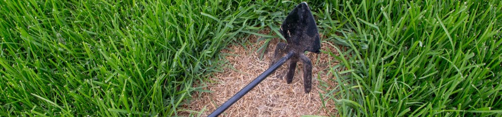 Overseeding