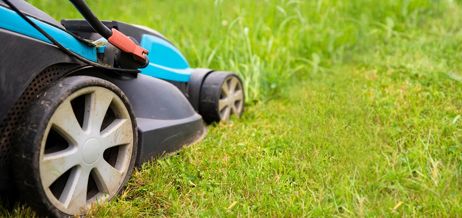 Lawn Mowing image - Big Easy Grass Cutting