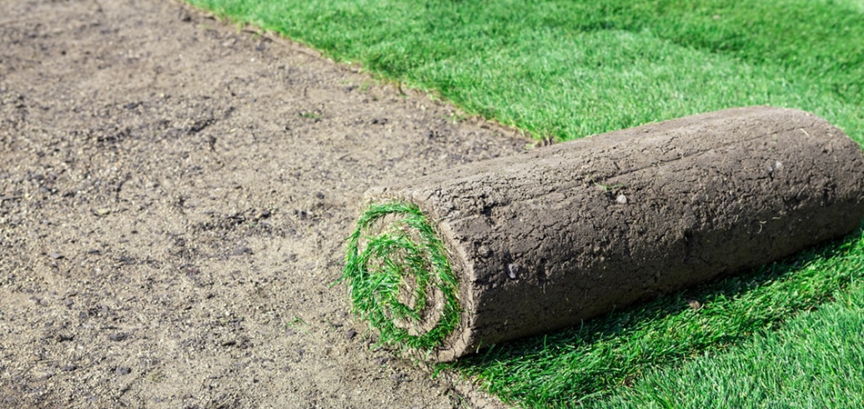 Sod Installation Image - Big Easy Grass Cutting