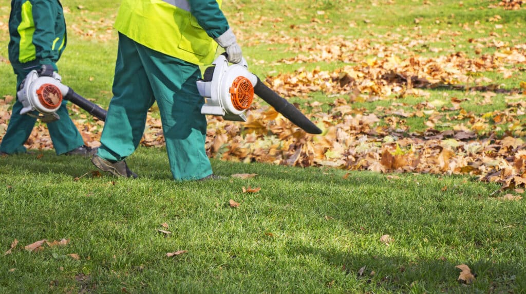 worker blowing fallen leaves - Big Easy Grass Cutting