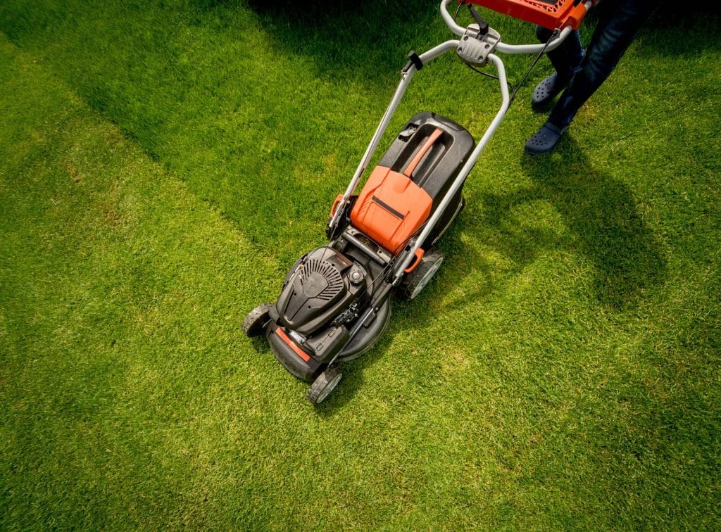 Push mower leaving stripes on a lawn, seen from above