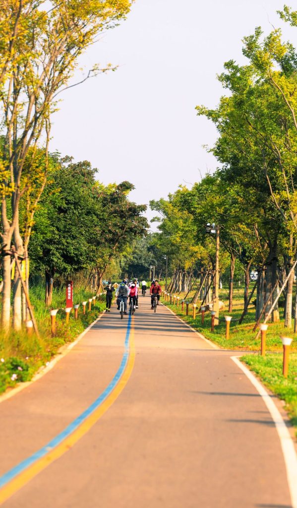 Group of cyclists riding a tree-lined path