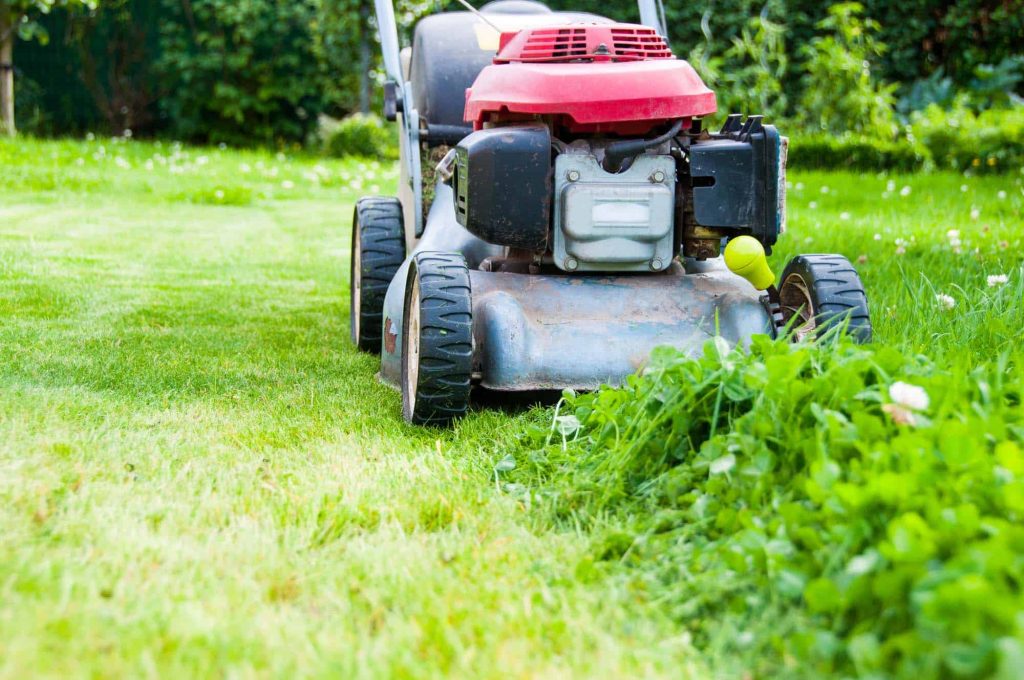 Red mower cutting along a strip of tall grass