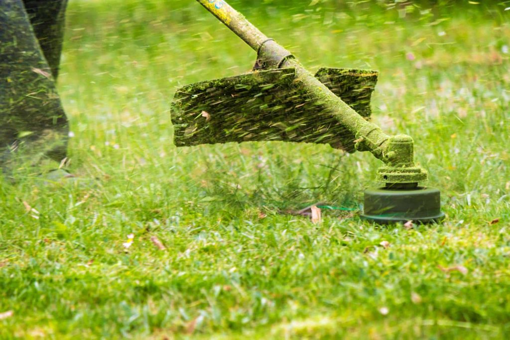 String trimmer head throwing fresh clippings