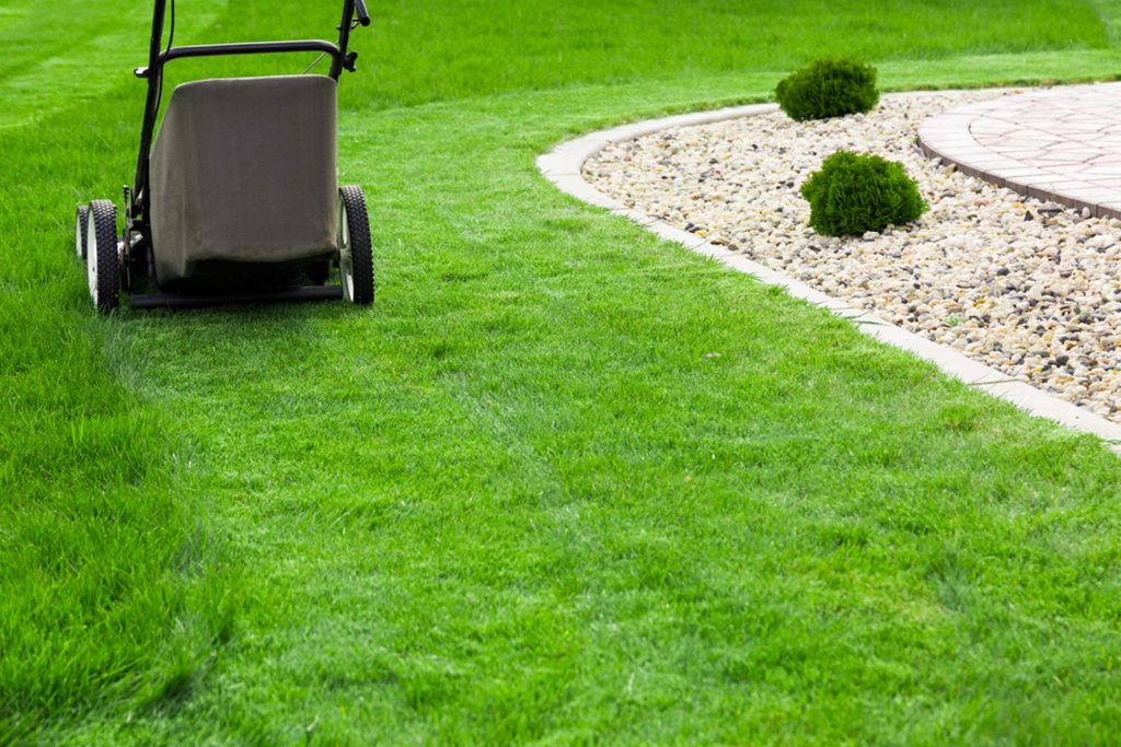 Mower beside a curved stone bed edge